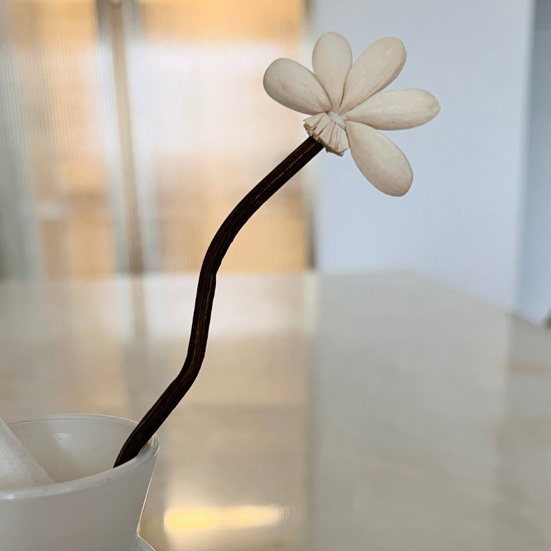 White Conical Vase with Reed Sticks – Minimalist Home Decor & Diffuser