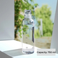 Borosilicate Glass Water Bottle (750ml) – Transparent