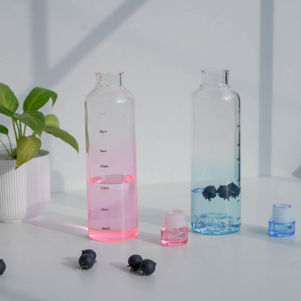 Borosilicate Glass Water Bottle (500ml) – 4 color options