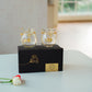 Hanging Tealight Candle Holder Lantern with Glass Vase