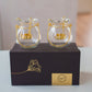 Hanging Tealight Candle Holder Lantern with Glass Vase
