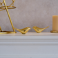 Premium decorative birds for gifting and home styling