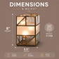 Weight and dimension infographic