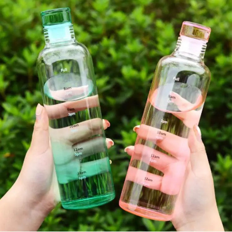 Borosilicate Glass Water Bottle (500ml) – Pink & Green Gradient