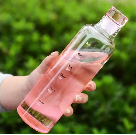 Borosilicate Glass Water Bottle (500ml) – Pink & Green Gradient