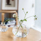 Borosilicate Glass Pomegranate Vase – for Elegant Home Decor & Dining