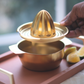 Modern stainless steel citrus juicer for healthy living