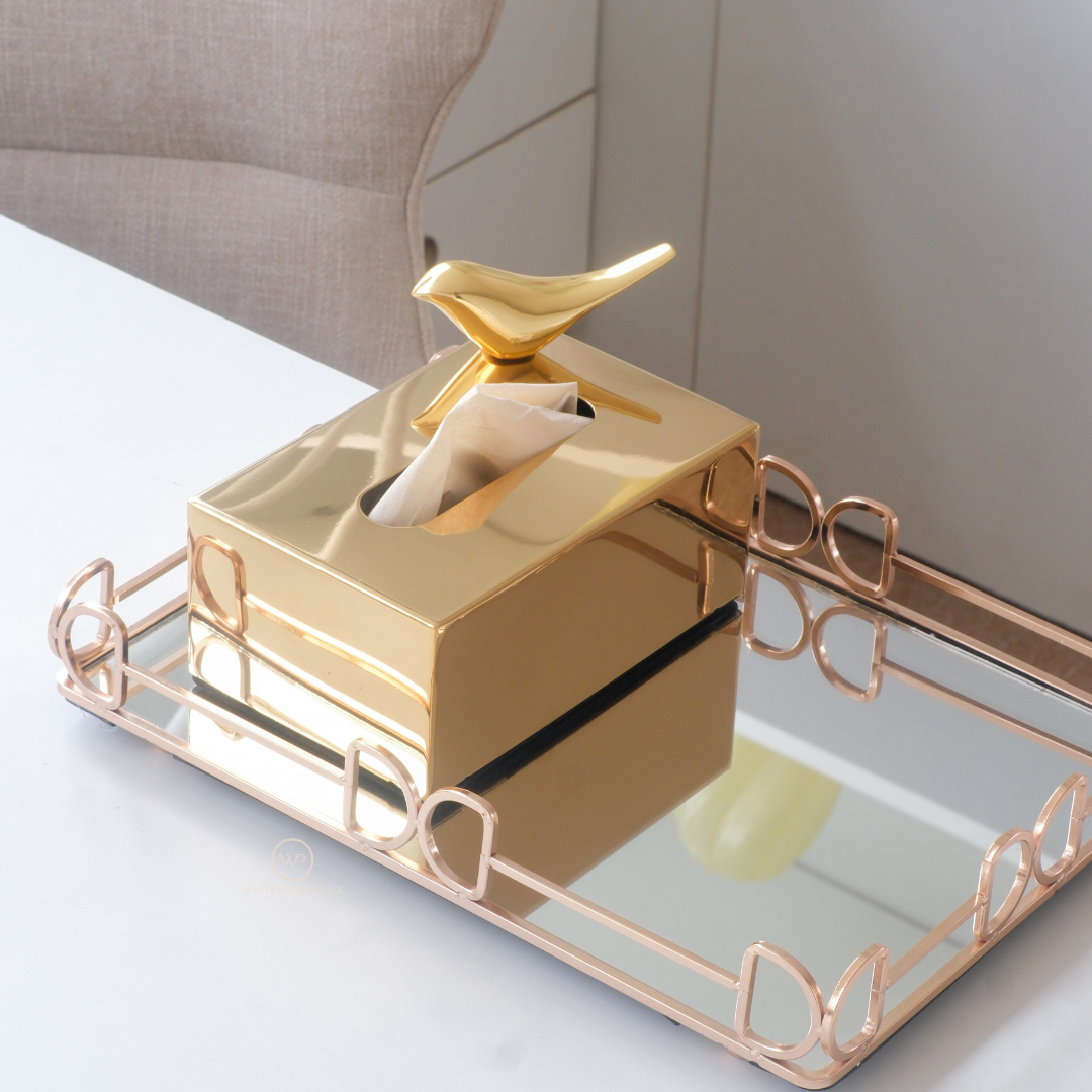 Designer tissue holder for coffee table and living room styling