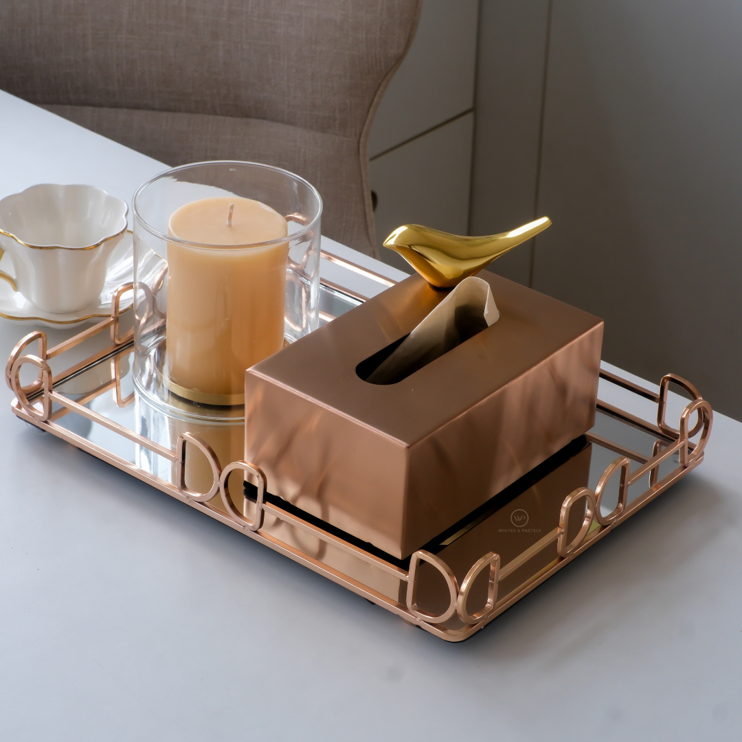 Designer tissue holder for coffee table and living room styling