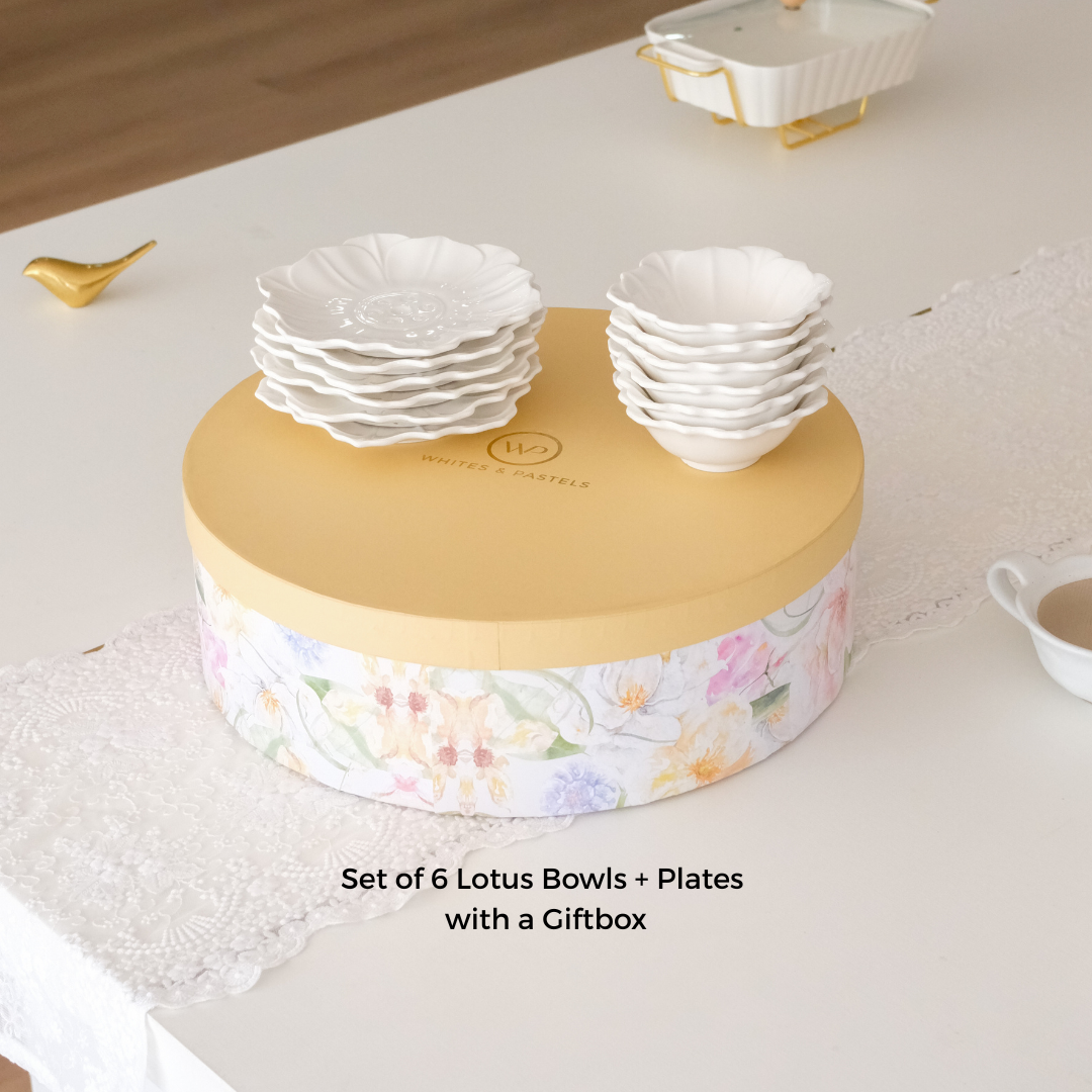 Luxury porcelain set of 6 dessert cup and bowl with giftbox