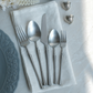 silver-stainless-steel-cutlery-set-of-30