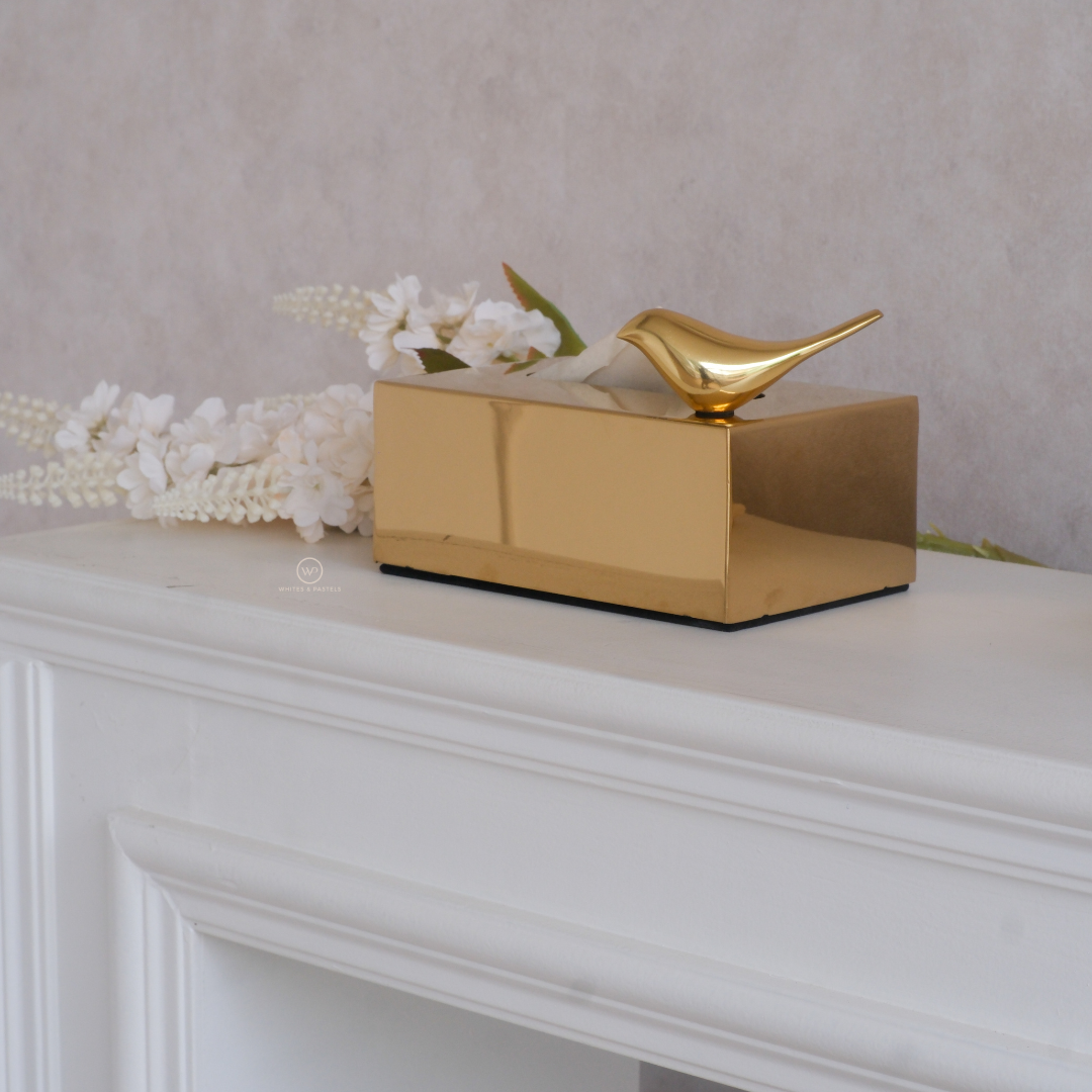 Fancy Matte metallic tissue organizer for contemporary interiors