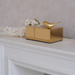 Fancy Matte metallic tissue organizer for contemporary interiors