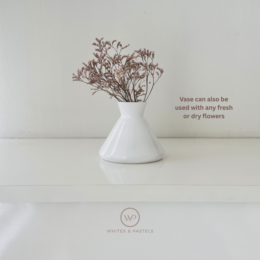 Elegant minimalist white vase set with reed sticks India
