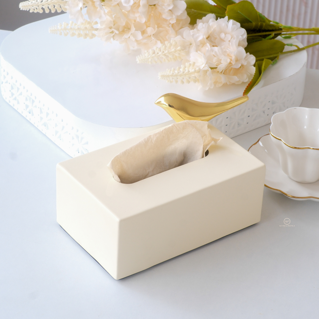Contemporary white tissue organizer for coffee table styling