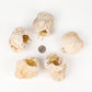 Decor Ornament - Natural Geode Crystal Stone