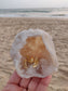 Decor Ornament - Natural Geode Crystal Stone